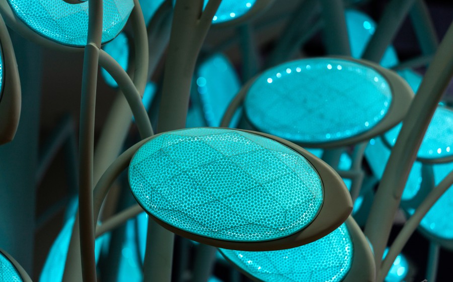 17021127323660711745.jpg R6M_0832 拷貝-opq664696254.jpg